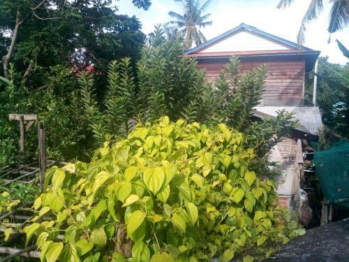 Chong Phov Khmer Homestay