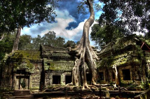 Chong Phov Khmer Homestay