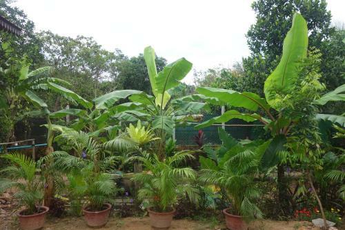 Agroturismo Yanick's Angkor Cottage