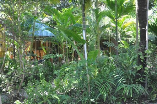 Hostal All For Stay Lodge