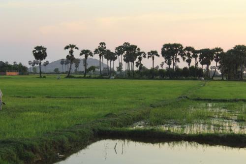 Family Homestay