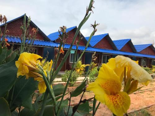 Hotel Sea Sky Bungalow