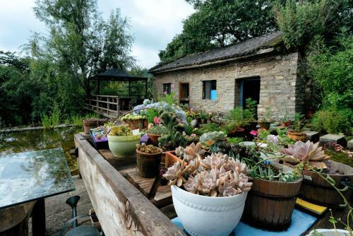 Hostal The Linden Centre � The Commons