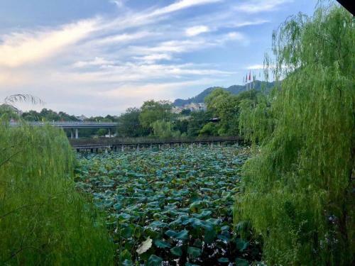 Hostal Tao Yuan Guesthouse