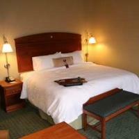 Hotel Hampton Inn & Suites New Haven - South - West Haven