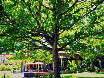 Hotel Premier Knysna The Moorings