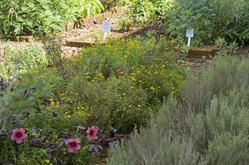 Hotel Asclepios Wellness And Healing Retreat