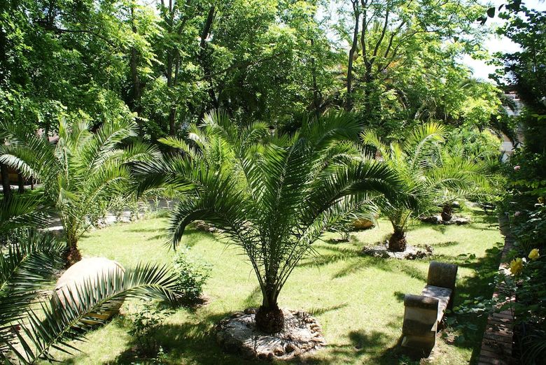 Hotel Balneario San Andres