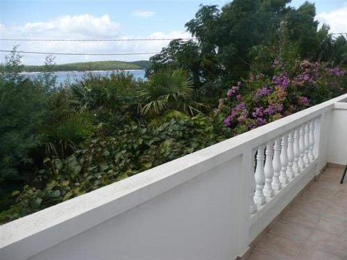 Apartment In Barbat/insel Rab 16473