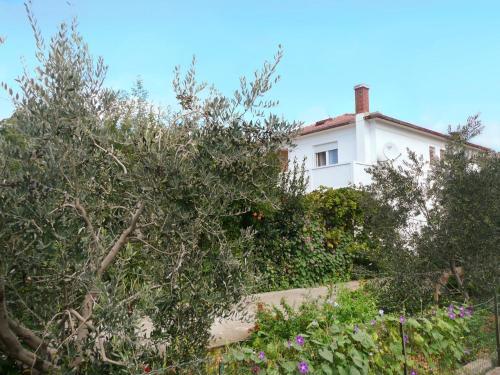 Apartment In Barbat/insel Rab 16473