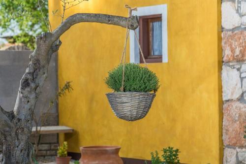 Holiday Home Mandula