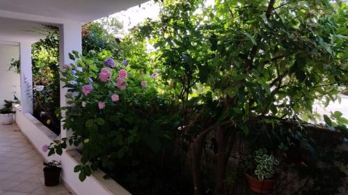 Hostal Double Room Dubrovnik 11207a