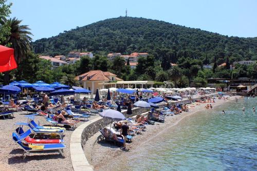 Apartments With Wifi Dubrovnik - 8590
