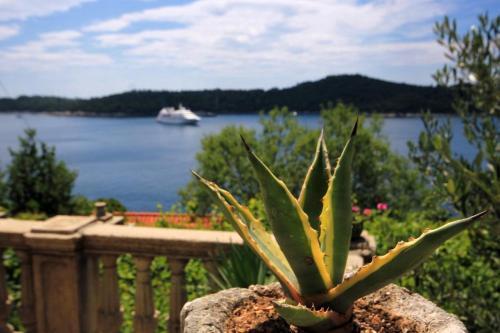 Apartments With Wifi Dubrovnik - 9077