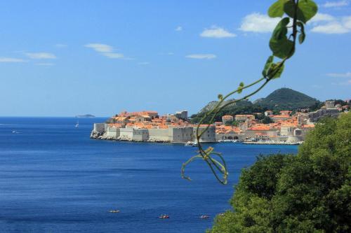 Apartments With Wifi Dubrovnik - 9077
