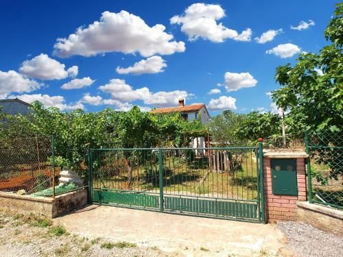 Apartment Pineta 1169
