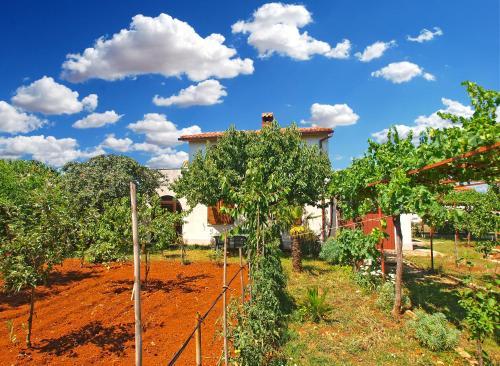 Apartment Pineta 1169