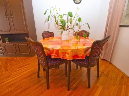 Apartments Dusanka 1300
