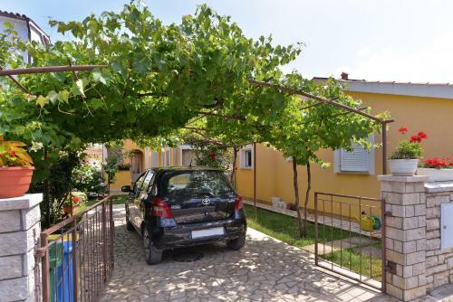 Apartments Milena 436