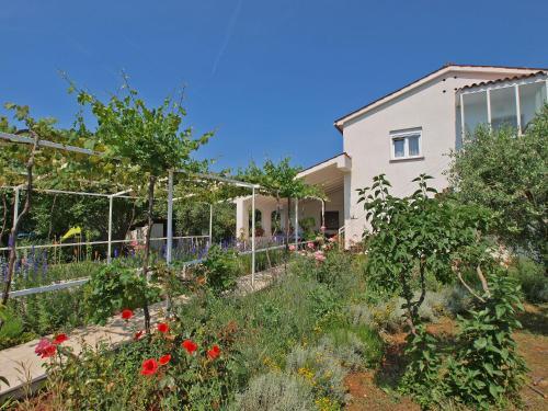 Apartments Mimoza 924
