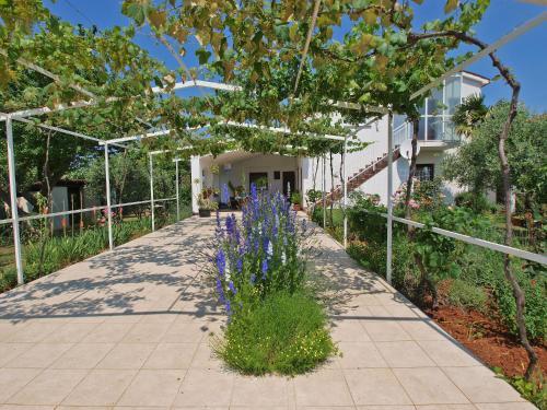 Apartments Mimoza 924