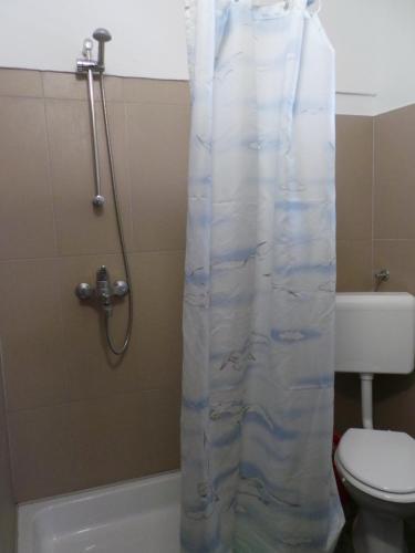 Apartments In Fazana/istrien 8602
