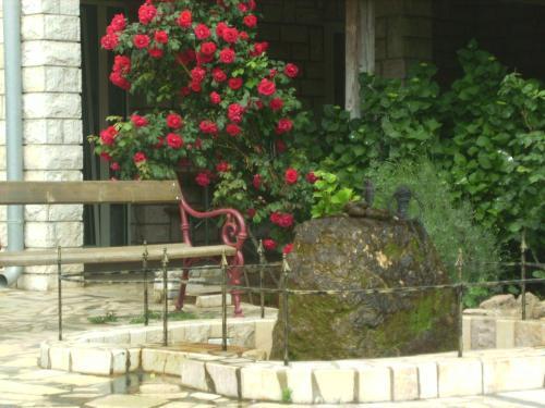 Apartments In Fazana/istrien 8602