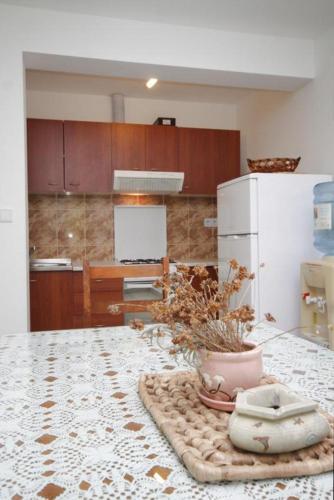 Apartment Scedro - Uvala Karkavac 8801c