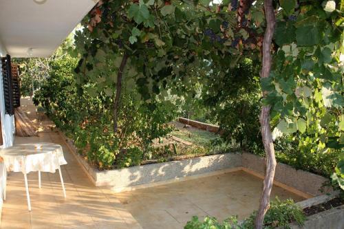 Apartments With A Parking Space Jelsa (hvar) - 5695