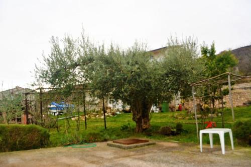Apartments With A Parking Space Kosi (labin) - 11891