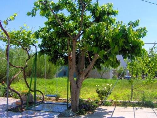 Apartmenthouse Lopar (695)