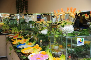 Selge Hotel
