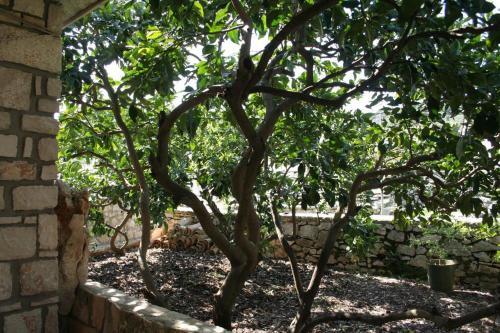 Holiday Home Lumbarda 4444