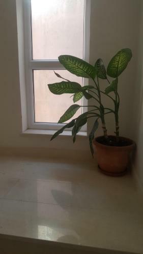 Apartman Makarska