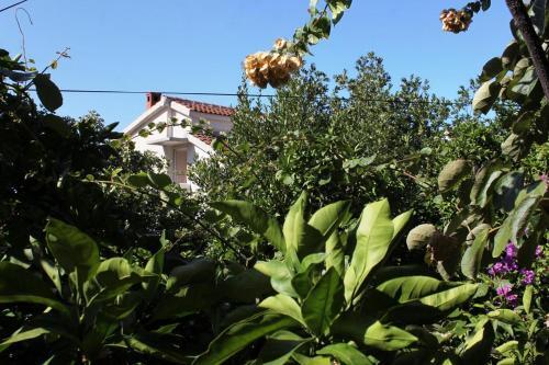 Hostal Apartments And Rooms With Parking Space Makarska - 9128