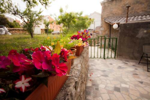 Apartamento House And Apts. In Mali Losinj 14819