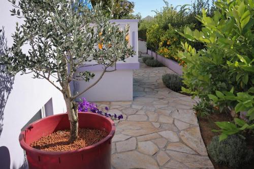 Apartamentos Studio Zadar - Diklo 5770b