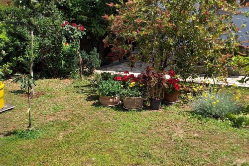 Apartment Zadar - Diklo 5908a