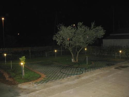 Apartments With A Parking Space Sukosan (zadar) - 14742