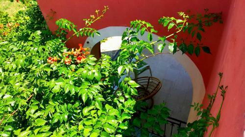 Apartamento Villa Helen