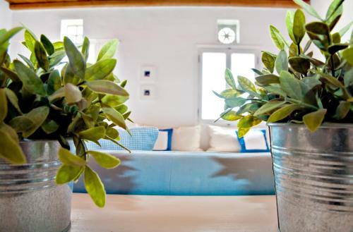 Aenaos Villa, Tinos