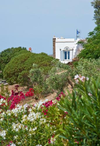 Aenaos Villa, Tinos