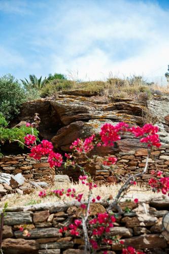Aenaos Villa, Tinos