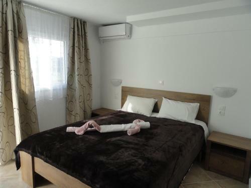 Apartamento Delfini House