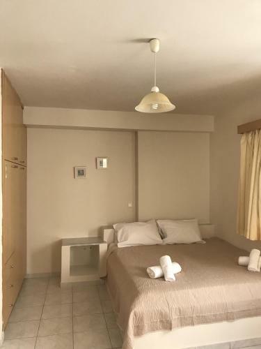 Chc Amazones Apartment - Hotel - Antiopi
