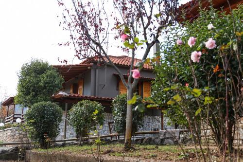 Hotel Orias Guesthouse & Farm