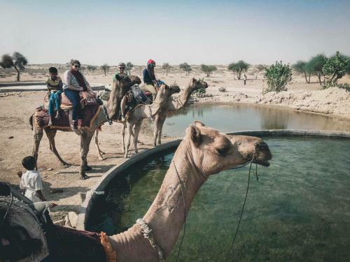 Hotel Real Desert Man Safari Camp