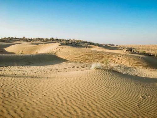 Hotel Real Desert Man Safari Camp