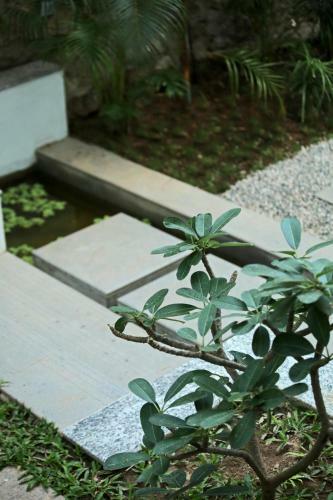 Hotel All Season?s D?fort Ayurvedic Resort