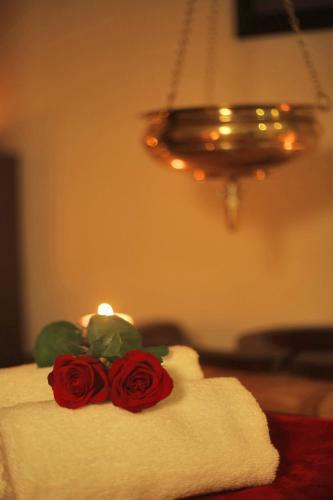 Hotel All Season?s D?fort Ayurvedic Resort